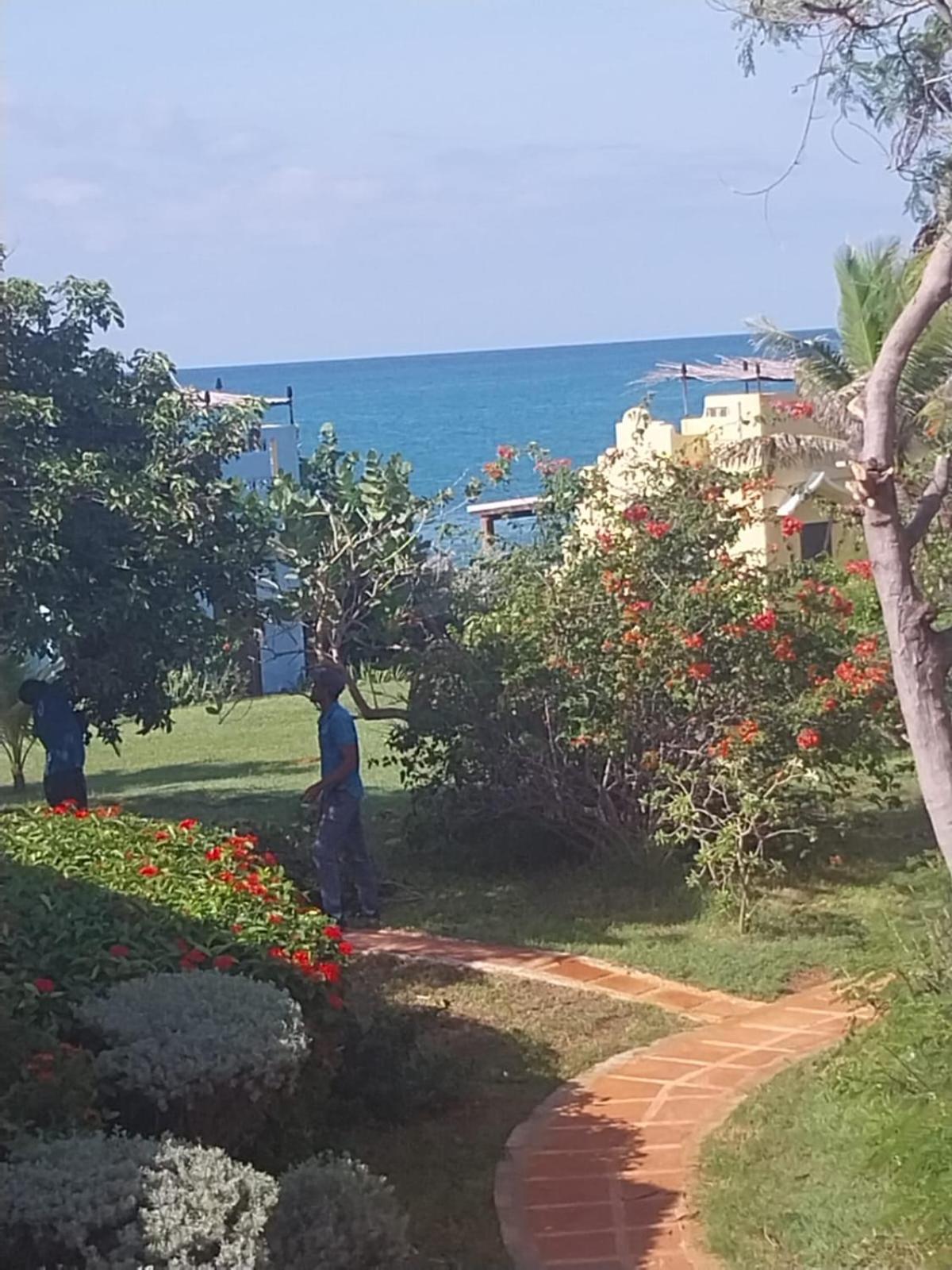 Brytan Villa Treasure Beach Extérieur photo