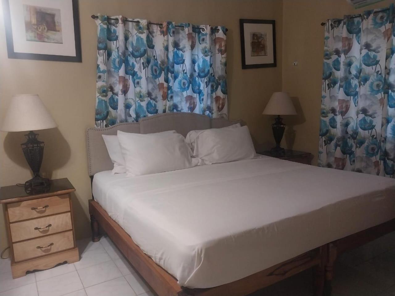 Brytan Villa Treasure Beach Extérieur photo