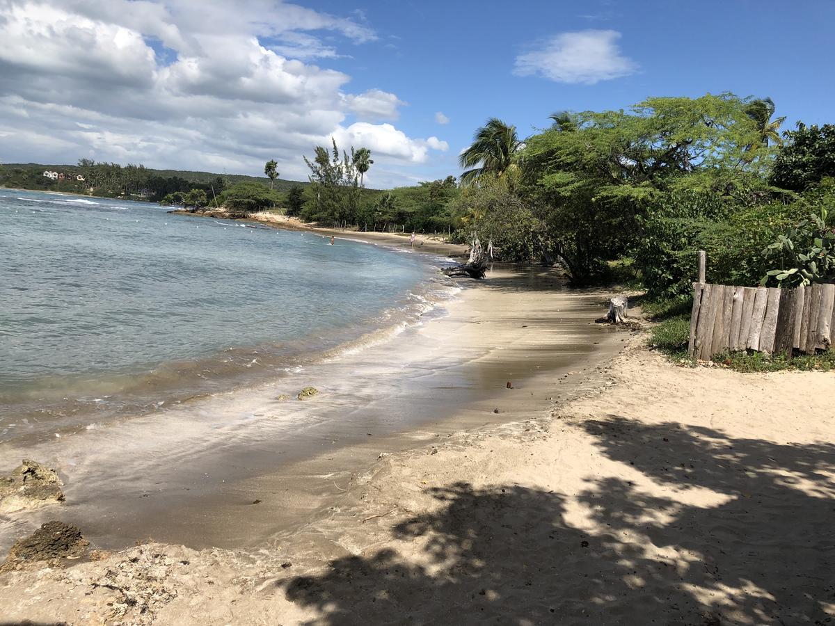 Brytan Villa Treasure Beach Extérieur photo